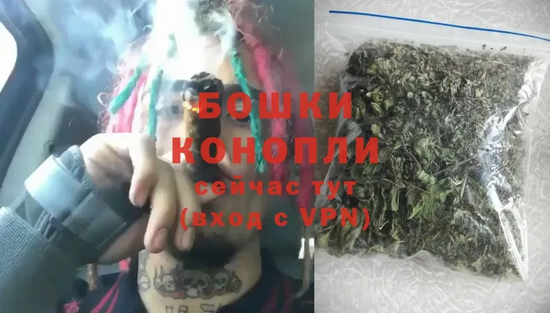 Бошки марихуана LSD WEED  Тавда 